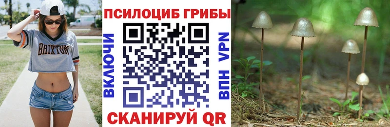 Галлюциногенные грибы GOLDEN TEACHER  Горняк 